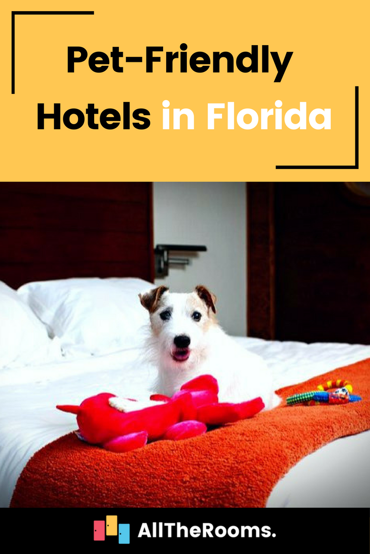 6 Best Pet-Friendly Hotels In Florida - AllTheRooms - The Vacation ...